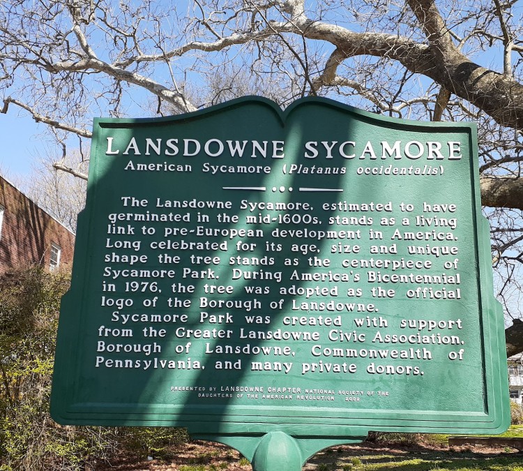 Sycamore Park (Lansdowne,&nbspPA)